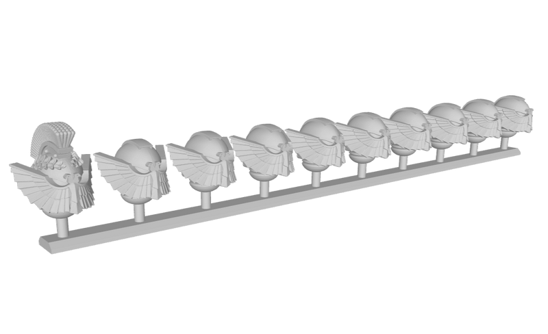 10x Basic - D'Aquila Helmets : Squad 1