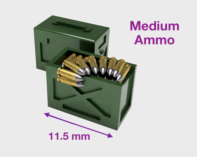 Standard : Medium Ammo Cases