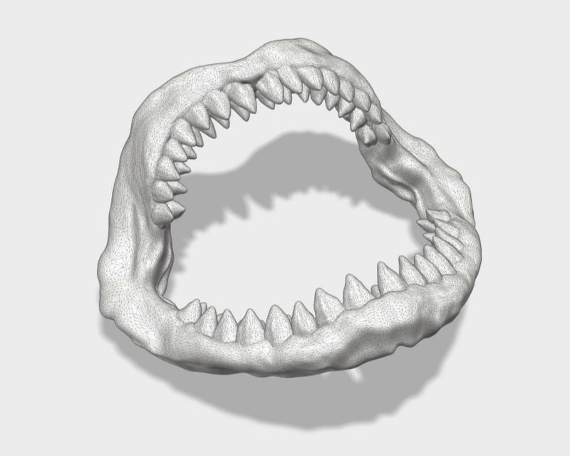 1x Megalodon Jaw