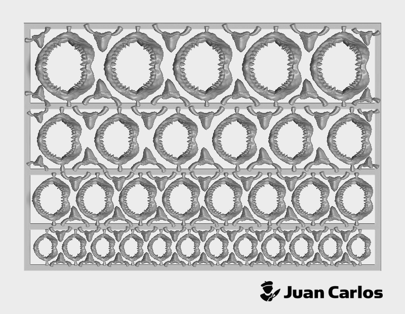 Shark Jaws & Teeth : Multi-Pack 2