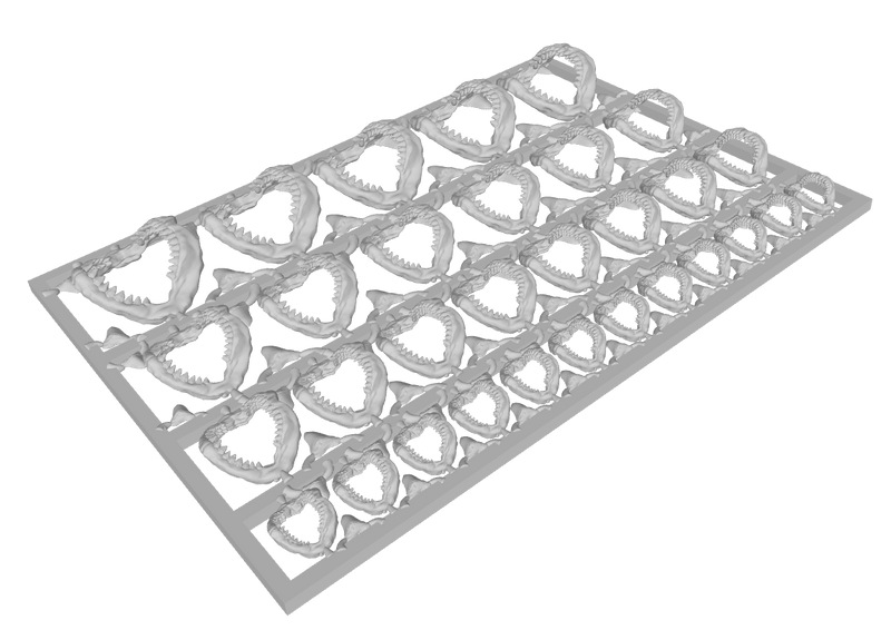 Shark Jaws & Teeth : Multi-Pack 2