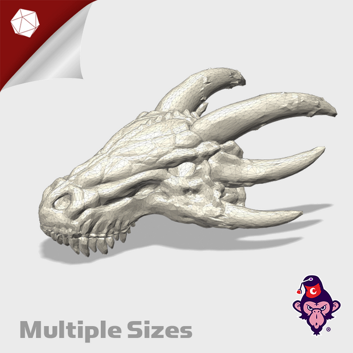 Dracorex Skulls (Multiple Sizes)