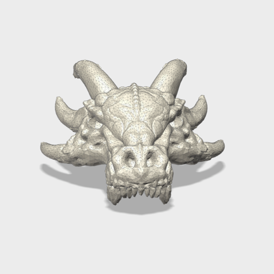 Dracorex Skulls (Multiple Sizes)