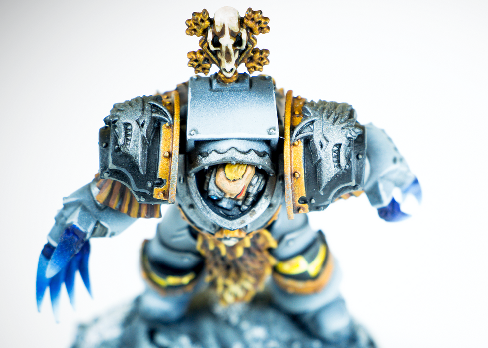 5x Absolution Wing - T:2a Cataphractii Shoulder Se