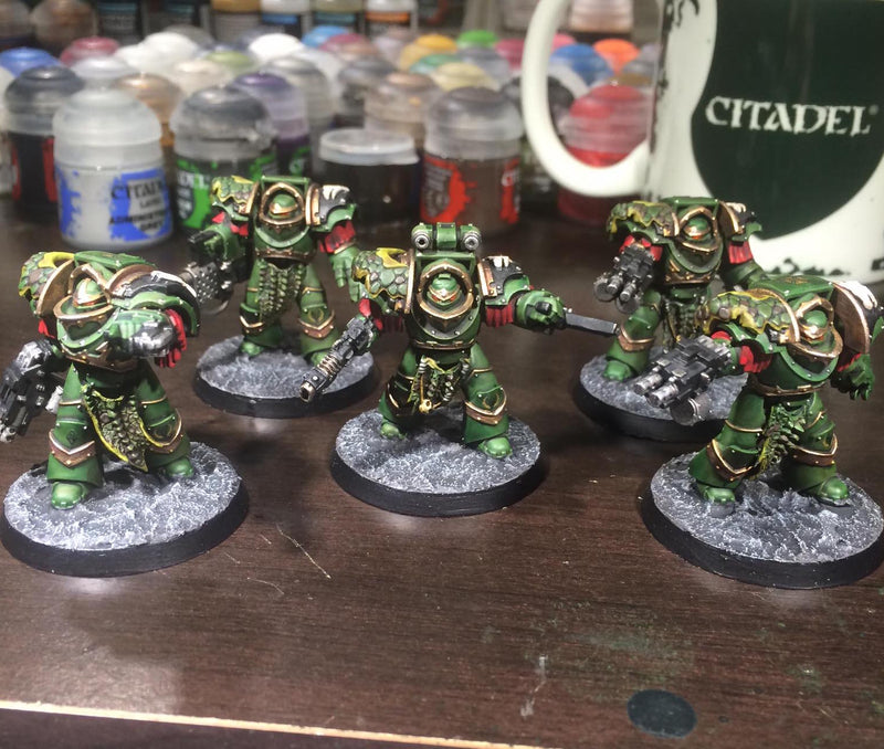 Ashen Claw - T:2a Cataphractii Shoulder Sets