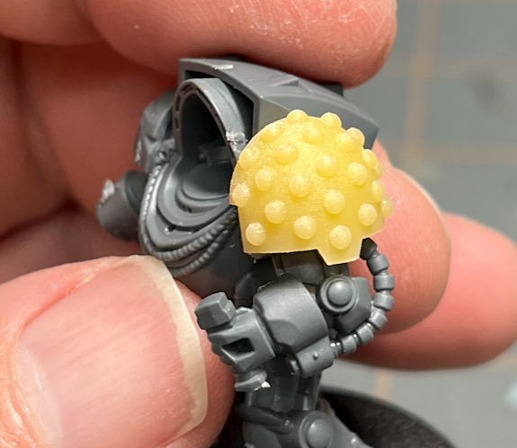 10x Howlers - T:10a Indomitus Prime Pads