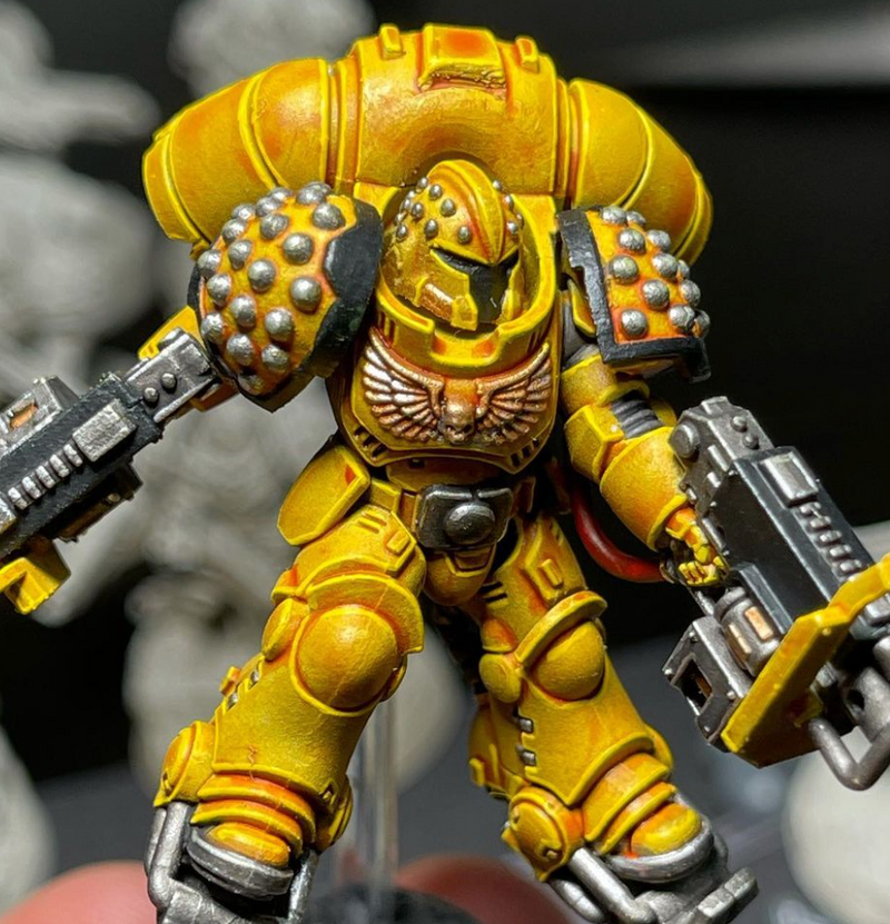 10x Iron Wolves - G:13r Shoulder Pads