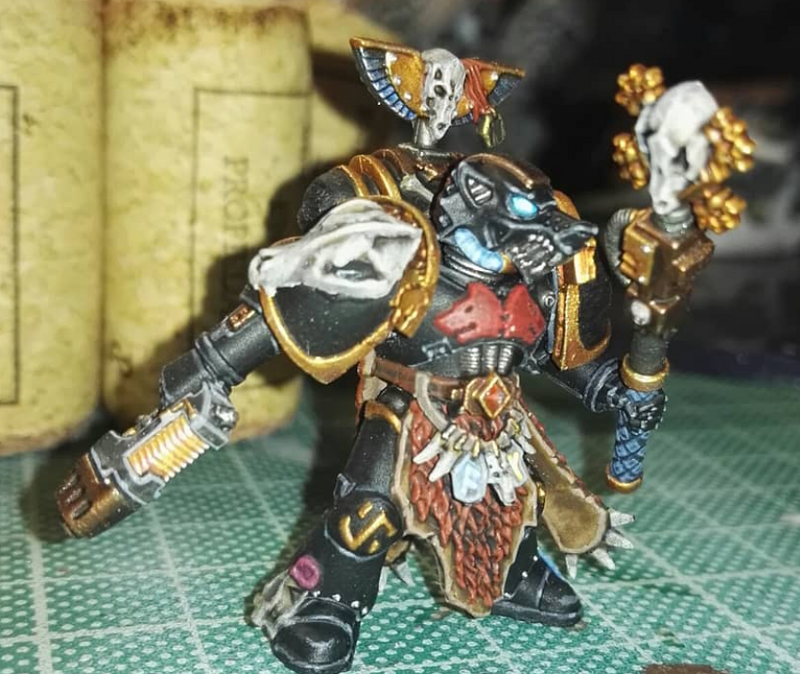 40x Real Wolf Skull : Large Shoulder Add-on