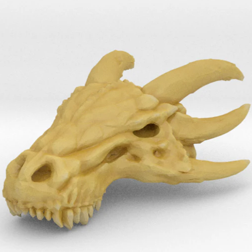 Dracorex Skulls (Multiple Sizes)