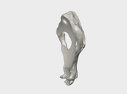 40x Real Wolf Skull : Large Shoulder Add-on 3d printed Meant to sit high on a Shoulder Pad, and big on larger models.