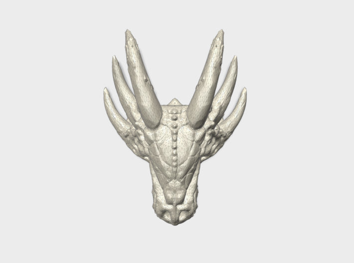 21 x 16mm Dracorex Skulls 3d printed