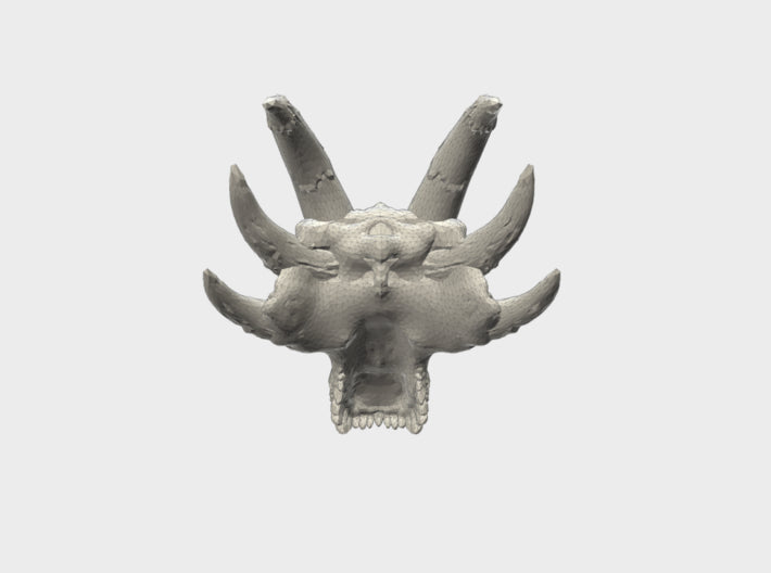 12 x 9mm Dracorex Skulls 3d printed