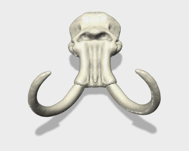30 x 40mm Mammoth Skull (Lrg) 3d printed Front