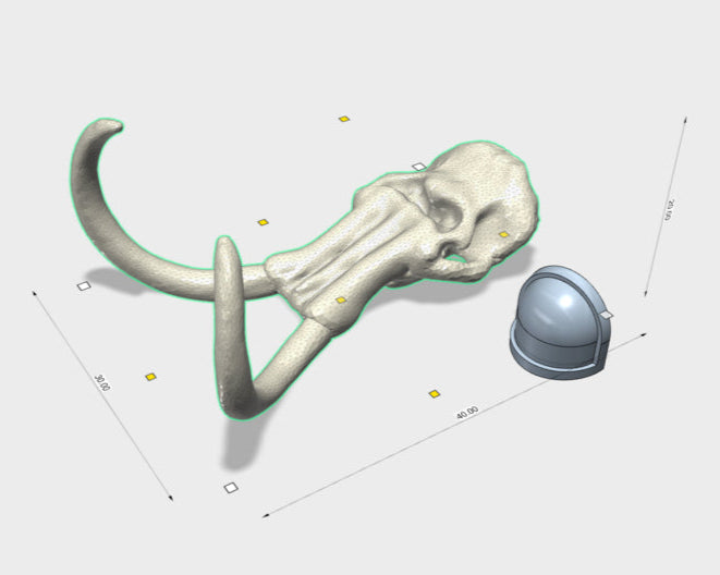 30 x 40mm Mammoth Skull (Lrg) 3d printed