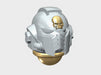 10x Skull Icon - G:10 Prime Helmets 	 3d printed
