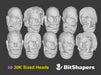 10x Knightly Order : Bare 30k Marine Heads	 3d printed