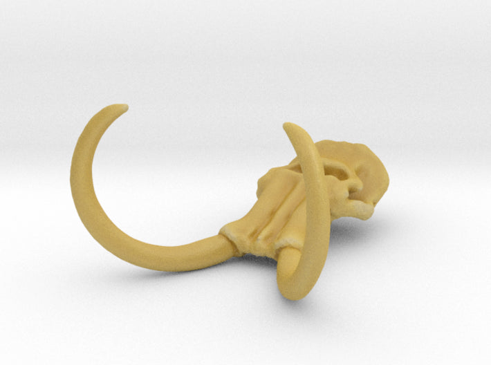 30 x 40mm Mammoth Skull (Lrg) 3d printed