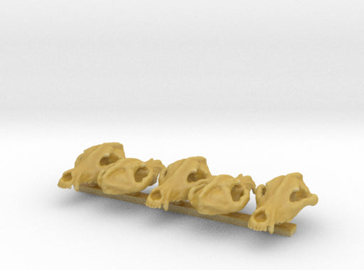 5x Wolf Skulls (18 x 10mm) 3d printed