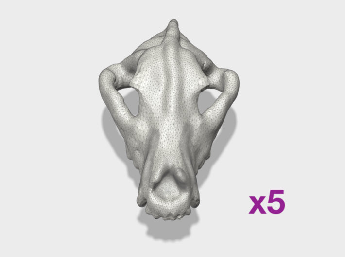 5x Wolf Skulls (18 x 10mm) 3d printed