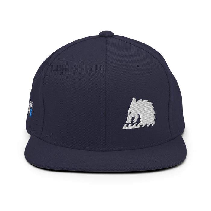 Sea Wolf - Snapback Hat